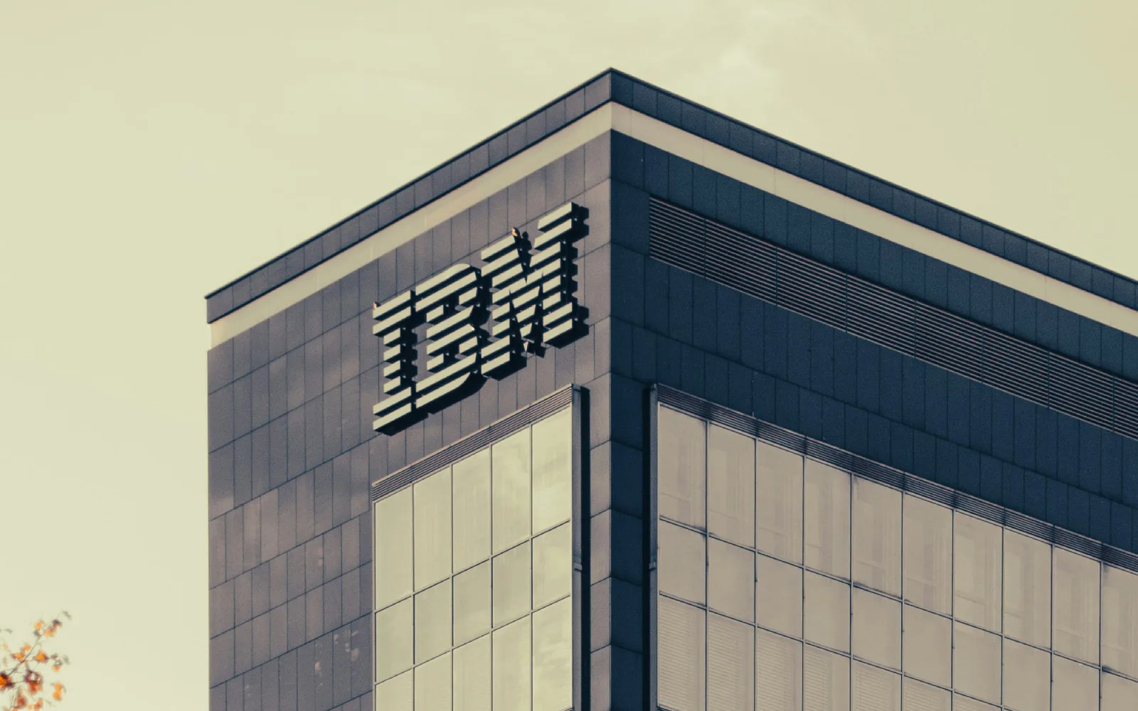 IBM3